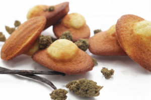 Madeleine bio à la vanille & fleur de CBD 30mg