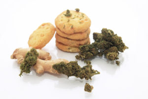 Biscuits sablés bio au gingembre et citron & CBD 30mg